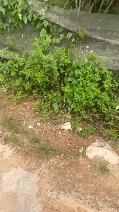 Đất nền thôn Nghè 3, xã Tiên Nha, 117m² giá 700 triệu - Đầu tư tiềm năng!