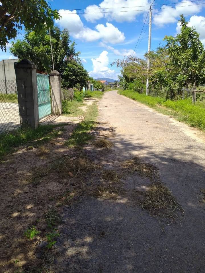 Đất Farm 1,8ha Hồng Liêm, Bình Thuận - Giá chỉ 5,76 tỷ - Tiềm năng phát triển lớn!