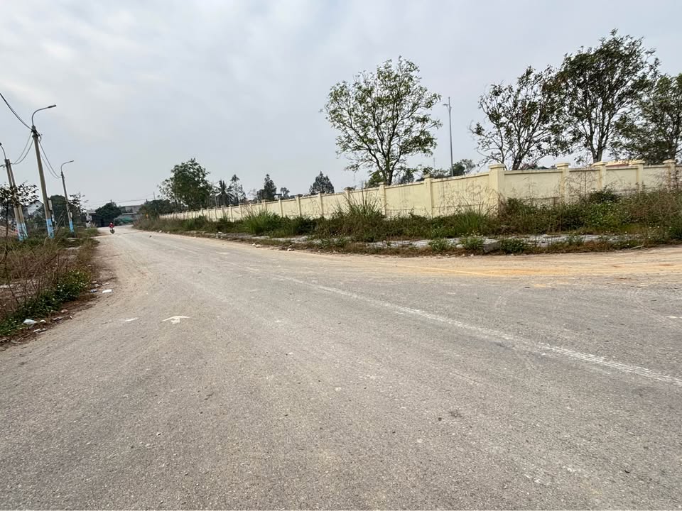 Đất nền tại Đông Yên, Quốc Oai, 100m² - Đầu tư sinh lời ngay!