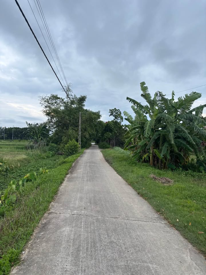 Đất thổ cư mặt tiền 13,5m tại Tam Hợp, Hiệp Hòa - Giá 3 tỷ, vị trí đắc địa!