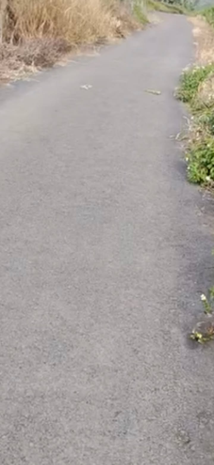 Đất thổ cư 100m² tại Lộc Ngãi, Bảo Lâm - Giá sốc chỉ 380 triệu!