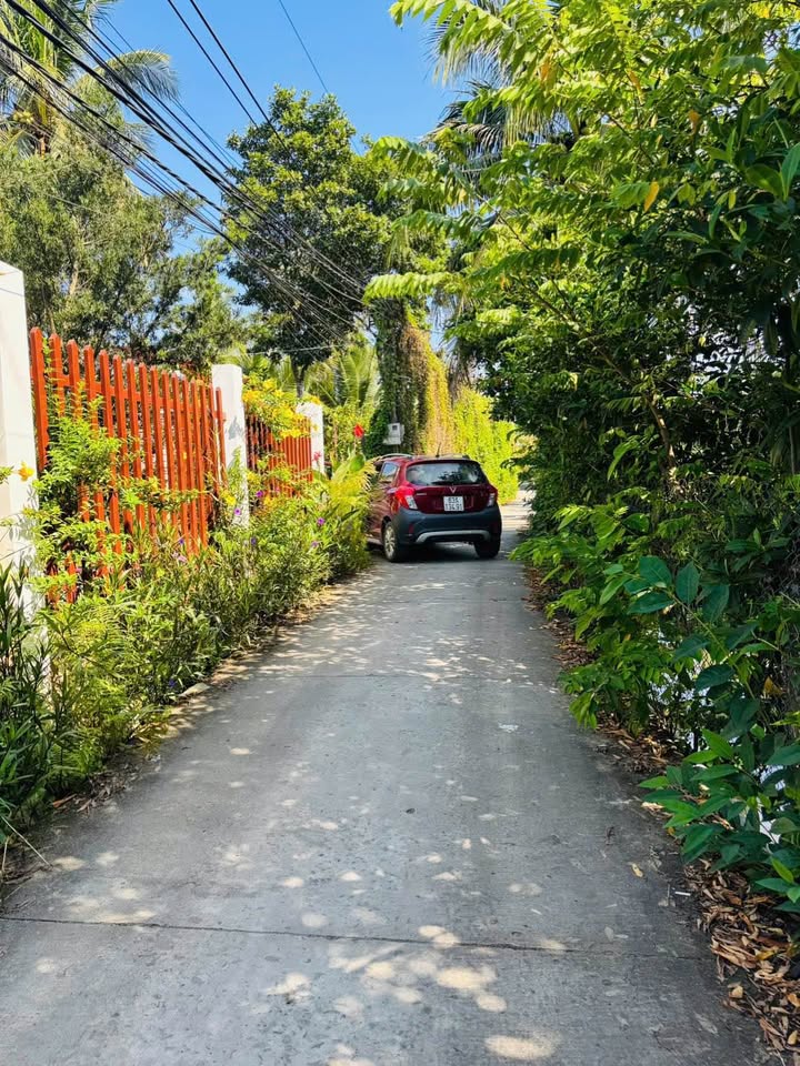 Đất quy hoạch treo tại Phường Trung An, Mỹ Tho 100m² giá 390 triệu - Cơ hội đầu tư lý tưởng!