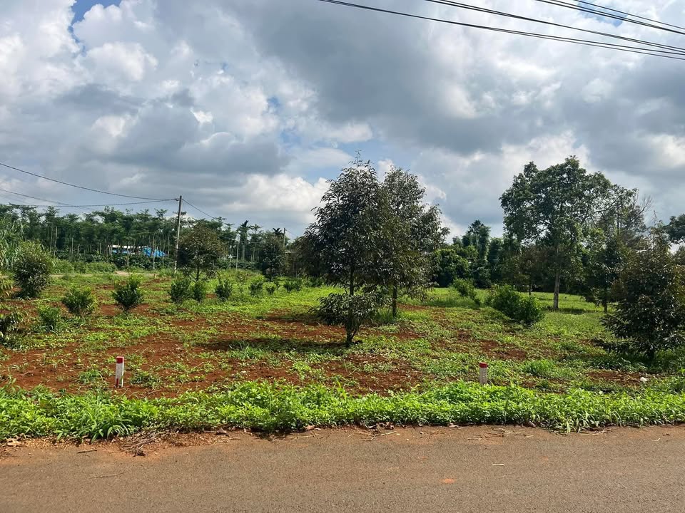 Đất thổ cư Bàu Chinh 155m² giá chỉ 620 triệu - Diện tích đẹp, vị trí đắc địa!