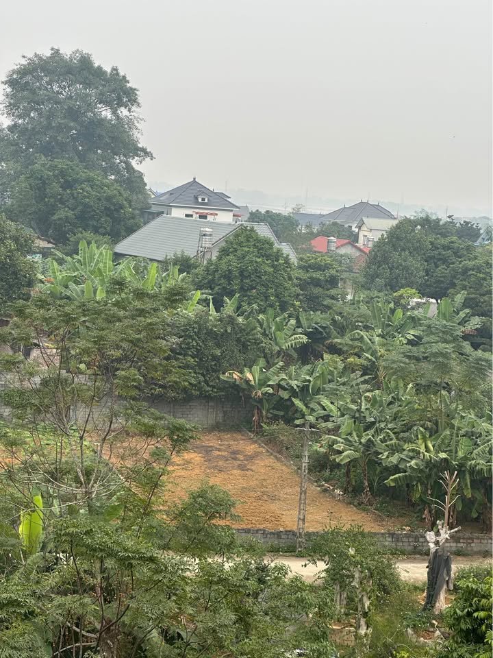 Đất Nền Phú Cát, Quốc Oai 200m² giá 3 tỷ - Chính chủ bán gấp!