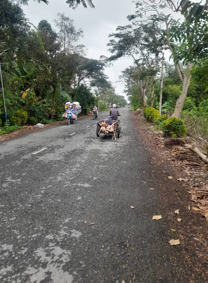 Đất nền xã Lai Vung, Đồng Tháp 140m² giá chỉ 900 triệu - Hạ giá bán gấp!