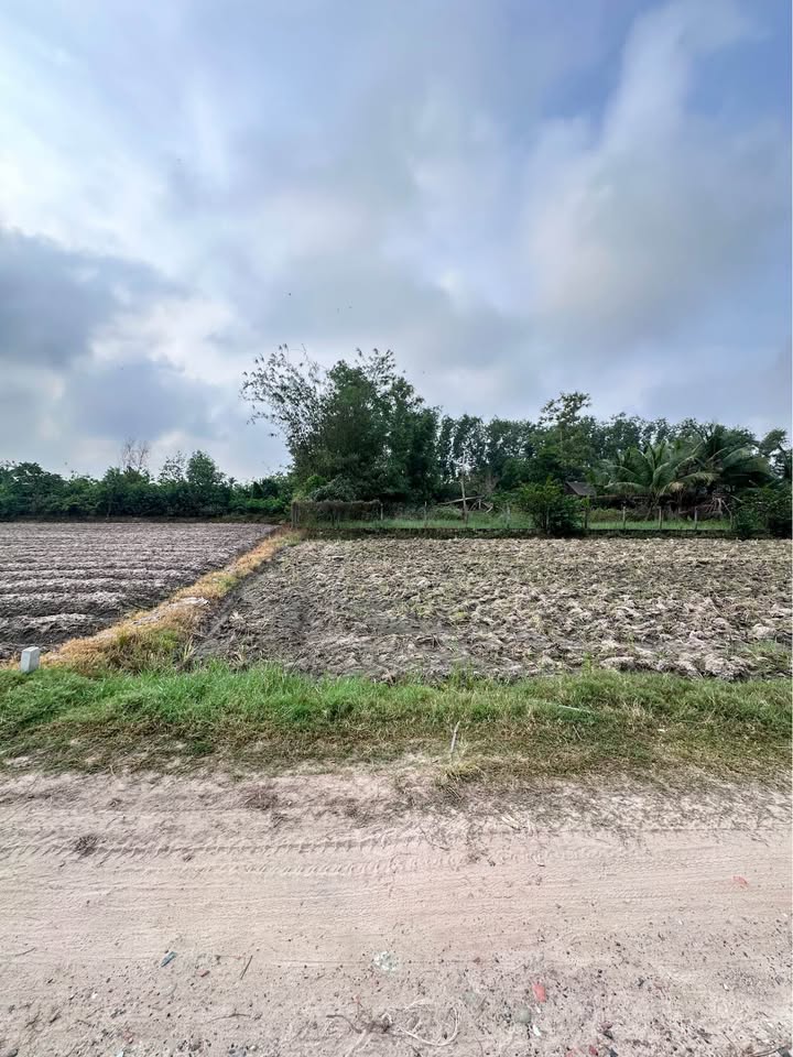 Đất nền khu phố Thanh Thuận, phường Thanh Điền, 100m² chỉ 400 triệu - Đầu tư sinh lời ngay!