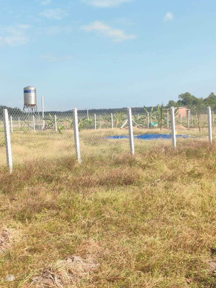 Đất nền Tân Phú, Tân Châu 948m² chỉ 239 triệu - Sổ đỏ chính chủ, giá tốt!