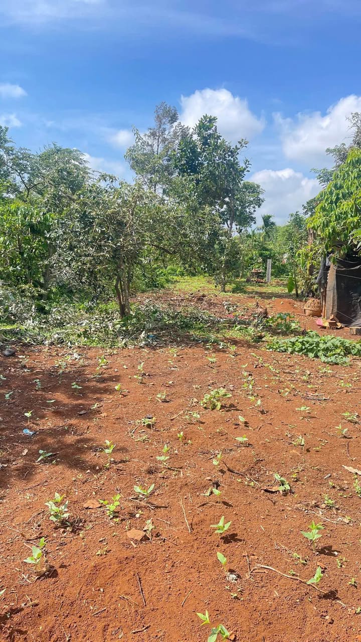 Đất mặt tiền KA10, phường Tân An, 249m² giá 1.85 tỷ - Kinh doanh thuận lợi!