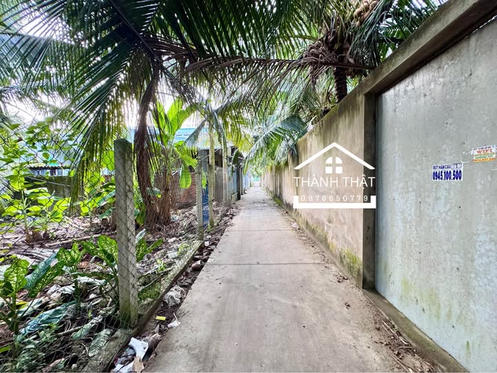 Đất nền thổ cư Đạo Thạnh 100m² giá 1.48 tỷ - Vị trí đắc địa gần Quảng Trường Mỹ Tho!