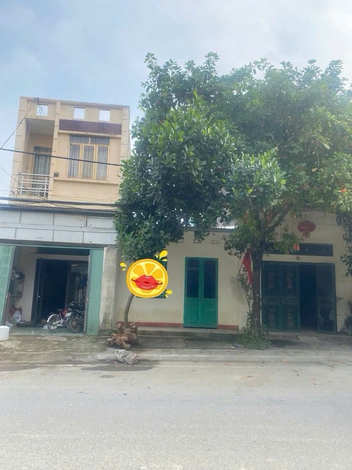 Nhà cấp 4 mặt tiền đường Trần Bình Trọng, Lào Cai - Kinh doanh đắc địa giá chỉ 1.22 tỷ!