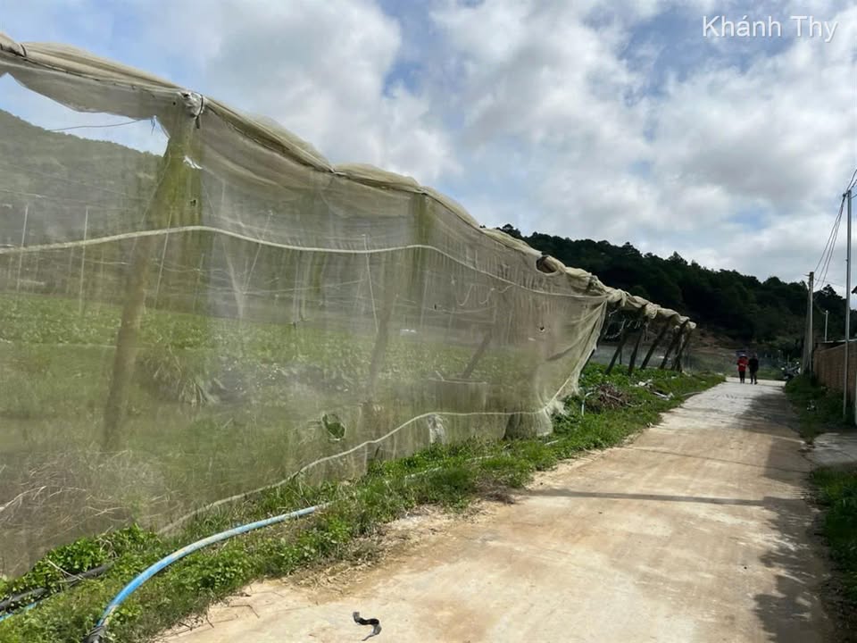 Đất thổ cư Thạnh Mỹ 72m² giá 720 triệu - Lưng tựa núi, gần chợ