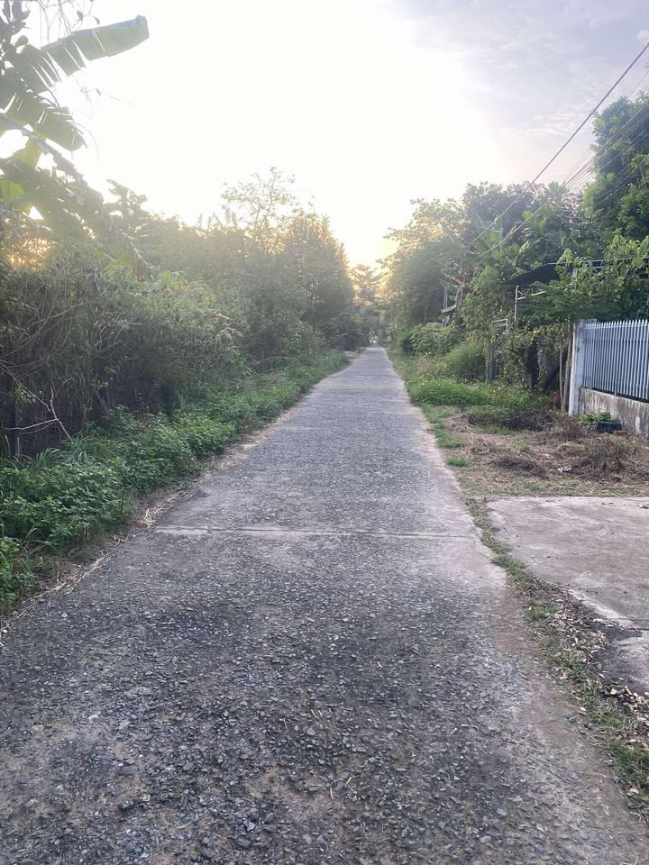 Đất chính chủ Tân Khai, Hớn Quản 598m² giá 5.964 tỷ - Cơ hội đầu tư hấp dẫn!