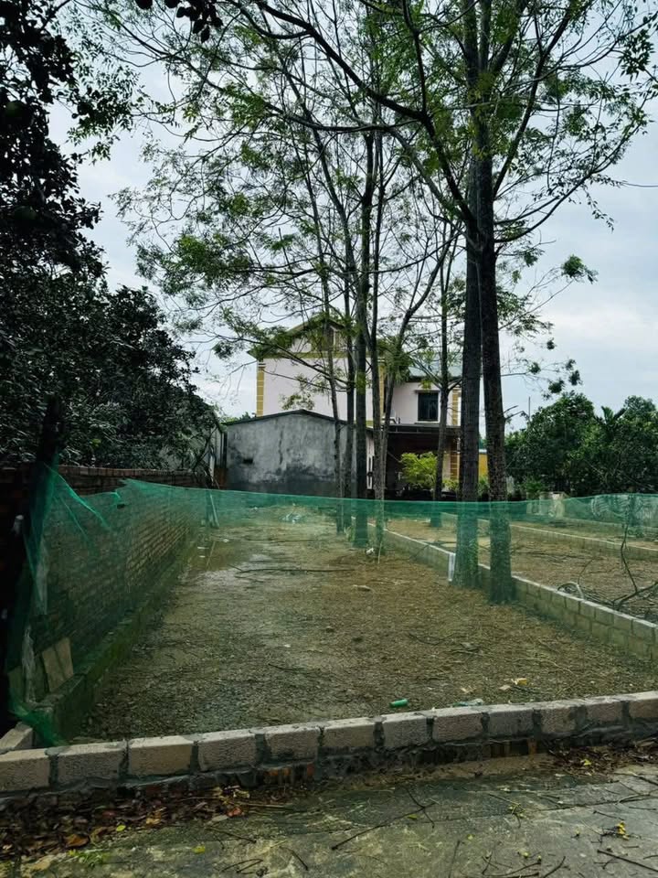 Đất nền Tân Xã - 99m² giá chỉ 3 tỷ - Cơ hội đầu tư sinh lời!