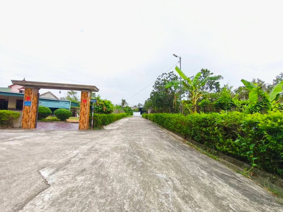 Đất nền Thạch Bình 200m² giá 1 tỷ - Đầu tư sinh lời ngay!