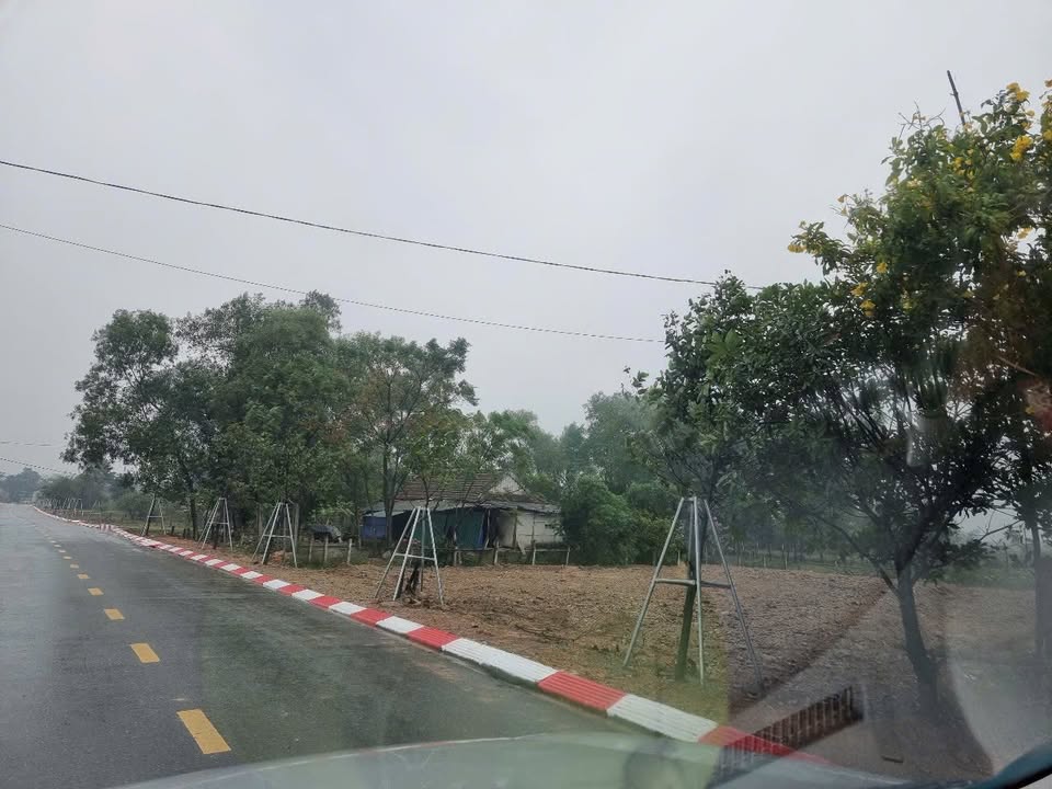 Đất mặt đường Thạch Xuân 441m² giá 4 tỷ - Đầu tư sinh lời ngay!