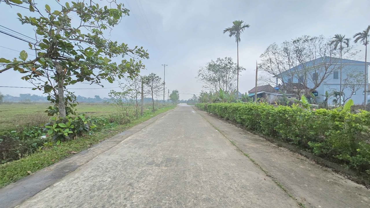 Đất TDP Phái Nam, Hà Huy Tập 360m² giá 1.6 tỷ - Vị trí đẹp, tiện ích đầy đủ!