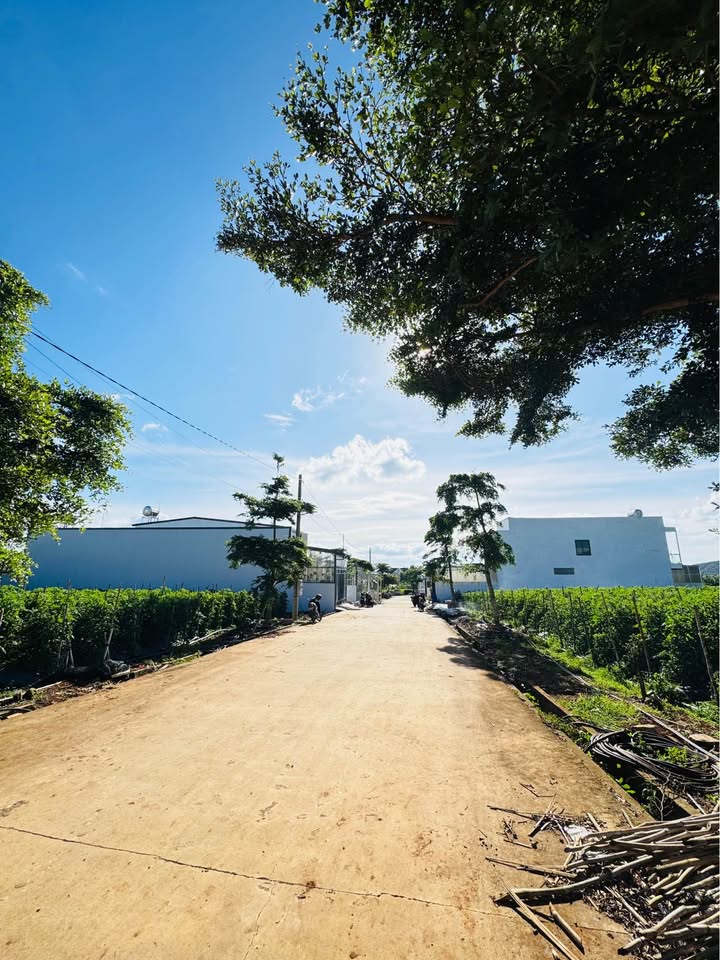 Đất thổ cư 75m² tại Hiệp Thạnh, Đức Trọng - Giá chỉ 1.12 tỷ, vị trí đắc địa!