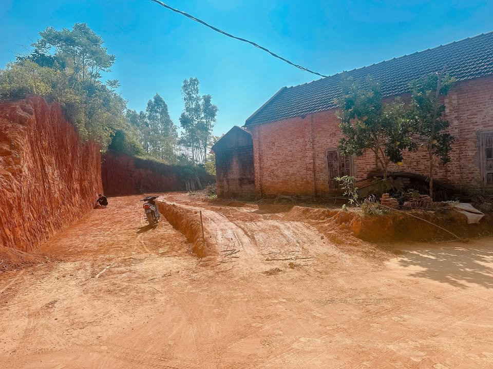 Đất liền kề 2 mặt tiền tại Thanh Đình, 98.5m² giá 600 triệu - Cơ hội đầu tư tuyệt vời!