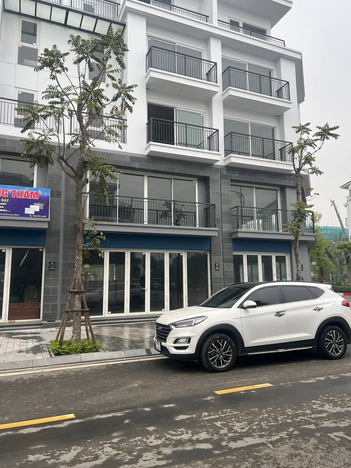 Nhà phố Palm Manor Việt Trì 98m² giá 10 tỷ - Kinh doanh lý tưởng!