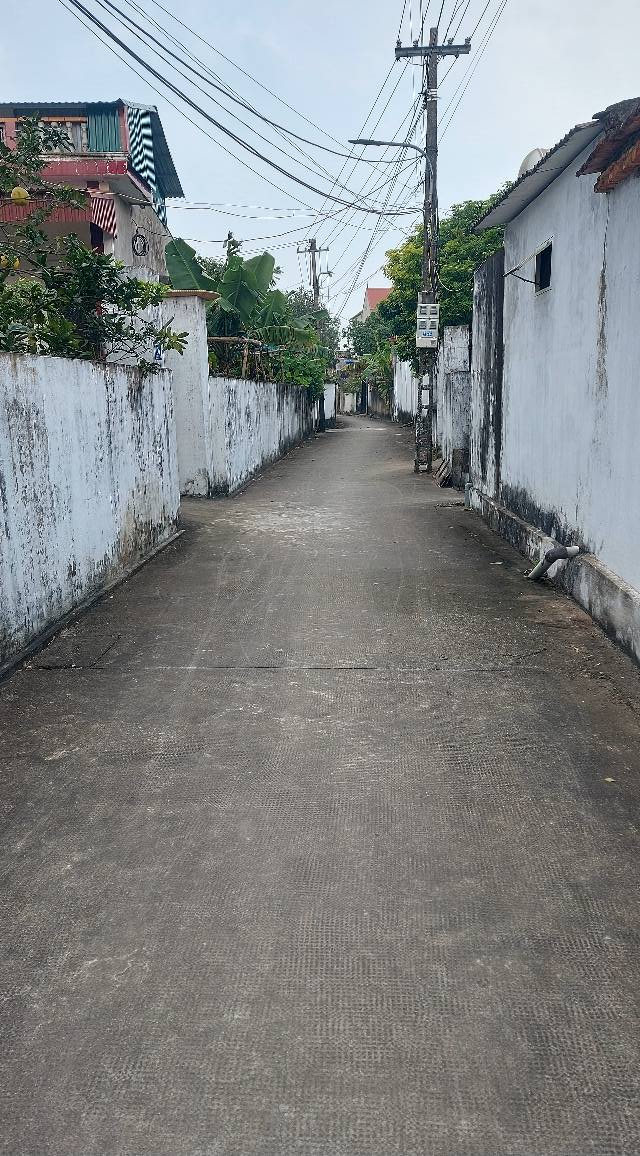 Đất thổ cư Hậu Lộc, Thanh Hóa 517m² - Chính chủ bán gấp, giá hợp lý!