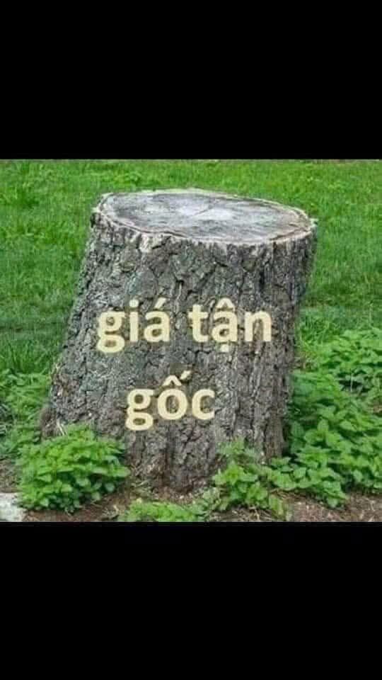 Đất nền 140m² tại Khu dân cư Láng Dài - Chỉ 400 triệu - Cơ hội đầu tư tuyệt vời!