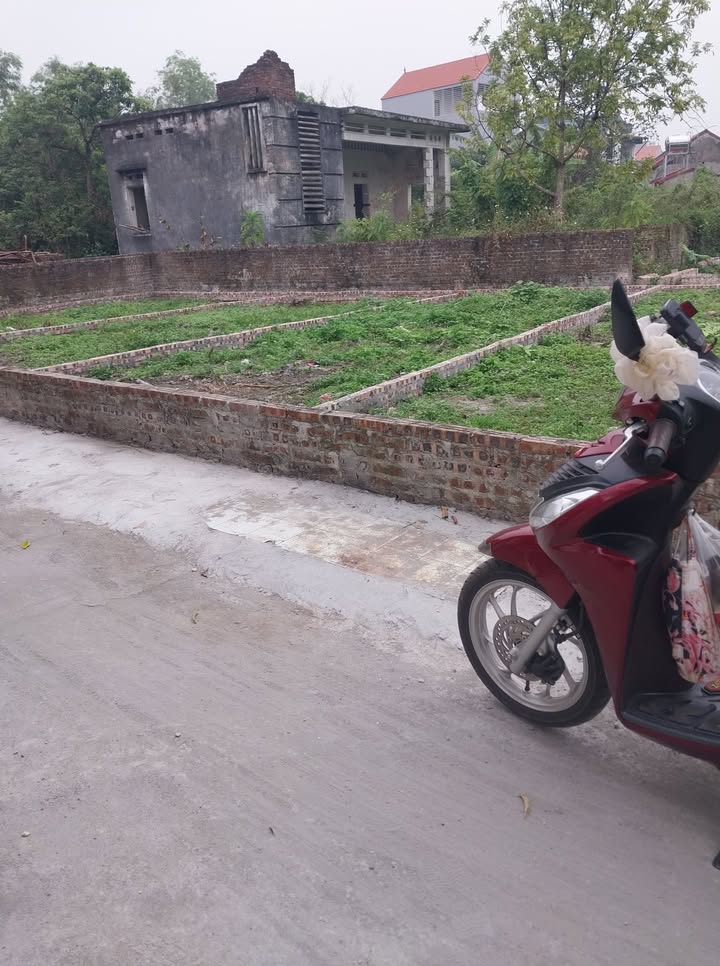 Đất nền Mão Điền, Thuận Thành 80m² giá chỉ 2 tỷ - Cơ hội đầu tư tuyệt vời!