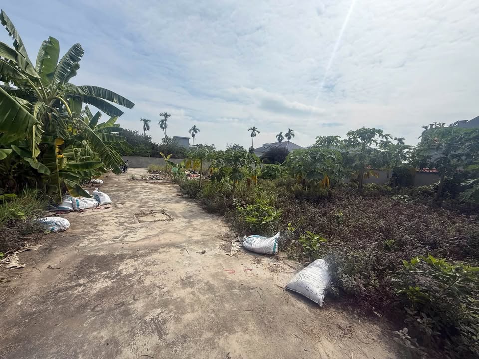 Đất nền An Dương, Hải Phòng 70,5m² giá 700 triệu - Đầu tư sinh lời cao!