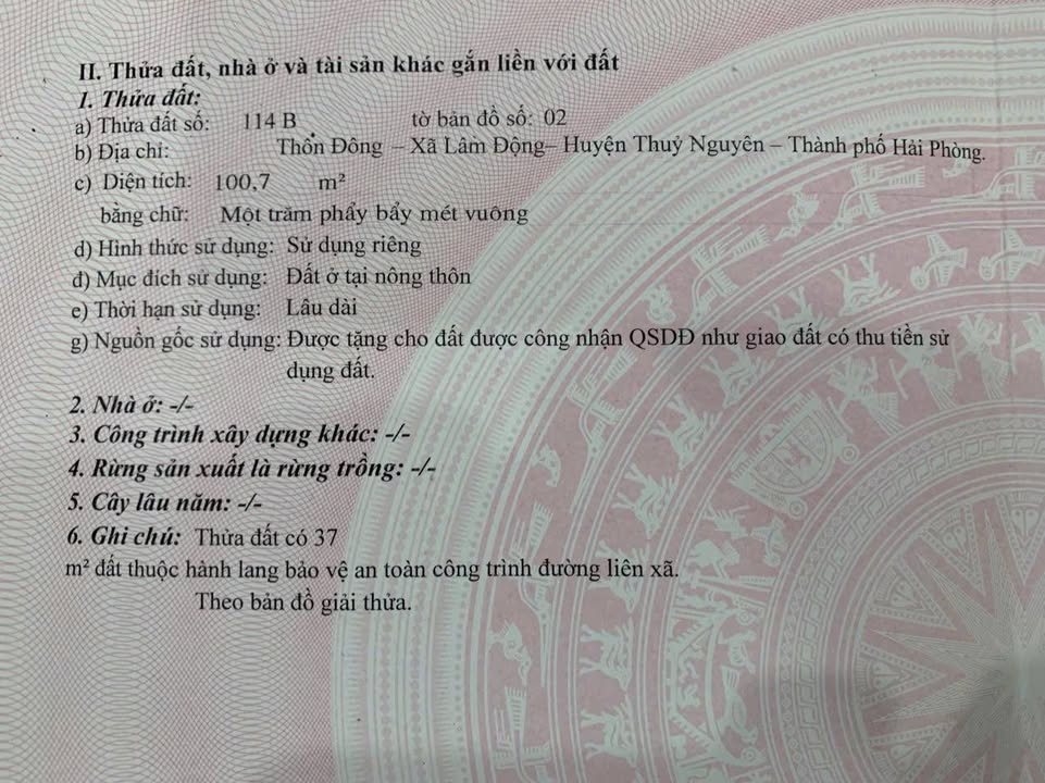 Đất Mặt Đường 203, Hoàng Lâm, Thủy Nguyên 100.7m² giá 3.877 tỷ - Cơ hội đầu tư sinh lời!
