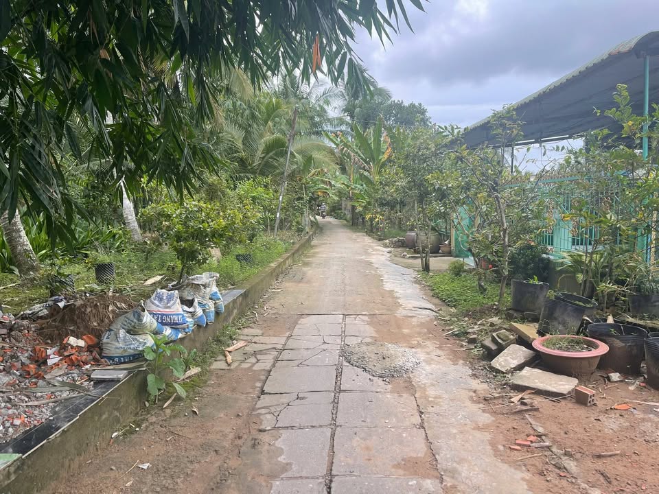 Đất nền Phước Thới, Ô Môn, Cần Thơ 190m² giá 950 triệu - Đầu tư sinh lời ngay!