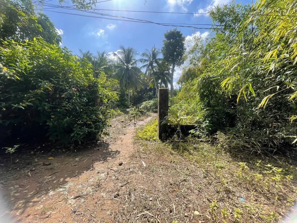 Bán đất 500m² Đinh Công Chánh, Bình Thủy - Giá chỉ 850 triệu - Đất đẹp, sạch