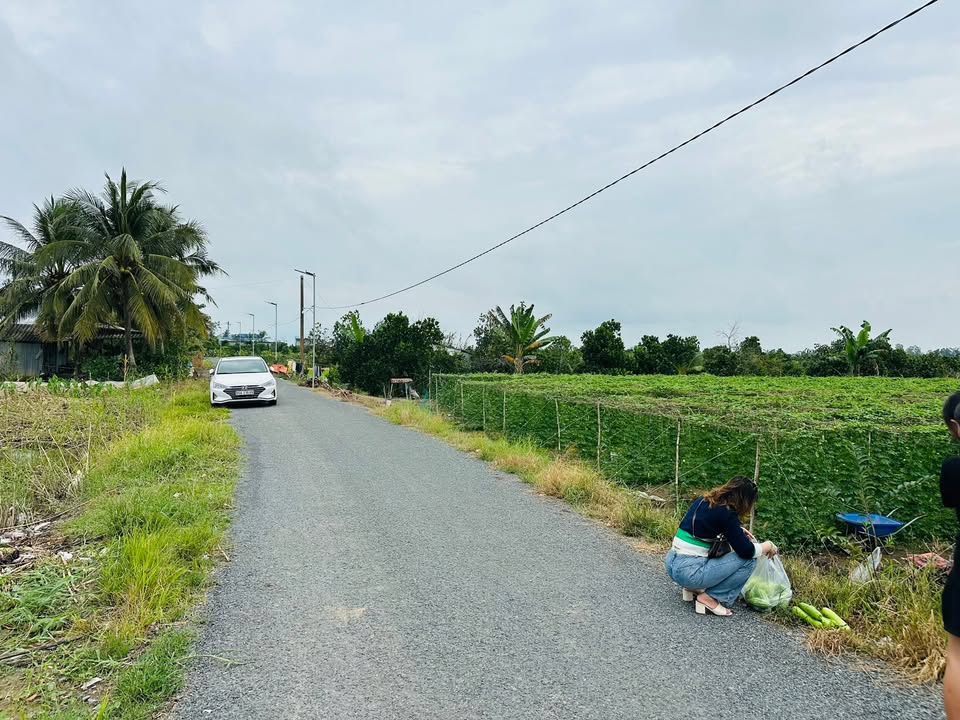 Đất nông nghiệp 8500m² tại xã Tân Lược, huyện Bình Tân - Giá chỉ 3.4 tỷ!