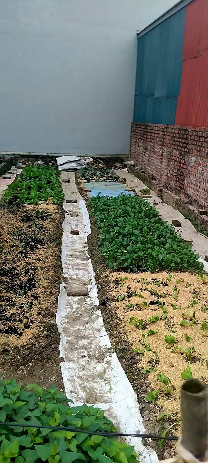 Đất nền mặt tiền đường Yên Thư Lâm, 94m² giá 7 tỷ - Đầu tư sinh lời cao!