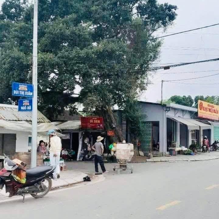 Đất nền Thủy Biều Huế 115m² chỉ 900 triệu - Sổ hồng chính chủ!