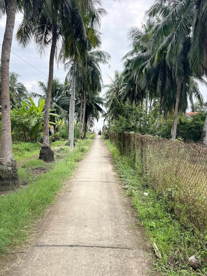 Bán đất ấp Quới An, xã Long Bình, Gò Công Tây 2700m² - Dân cư đông đúc, giá chỉ 800 triệu!