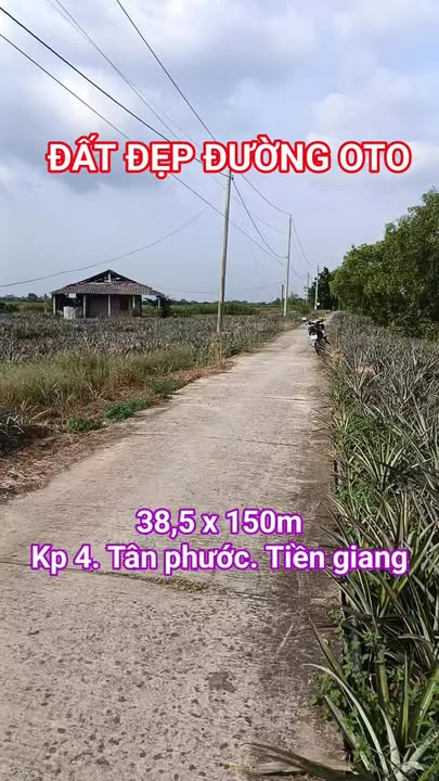 Đất nền khu phố 4, Tân Phước, Tiền Giang 5700m² giá 2 tỷ - Cơ hội đầu tư hấp dẫn!