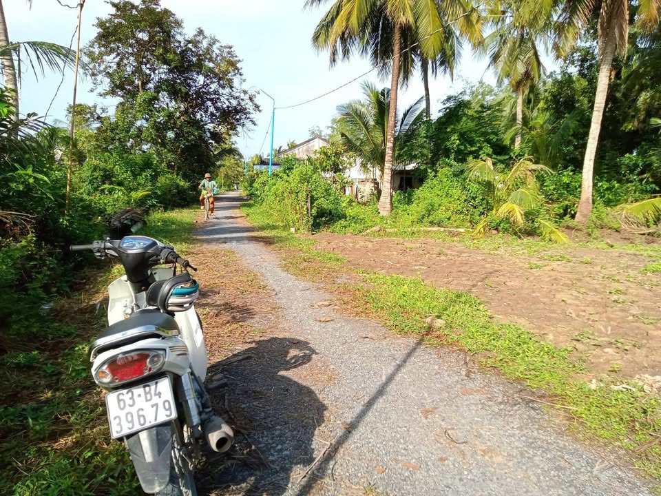 Đất vườn 2600m² ở Thạnh Nhựt, Gò Công Tây - Giá chỉ 1.5 tỷ, hướng Nam!