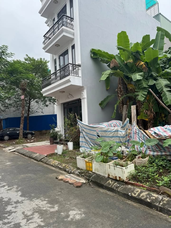 Đất nền đẹp Sở Dầu 40m² giá từ 3.05 tỷ - Nằm trong khu phân lô hiện đại!