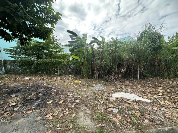 Đất nền chính chủ tại khu IDICO1, Tân An 90m² giá 3.25 tỷ - Vị trí đẹp, tiện ích đầy đủ!