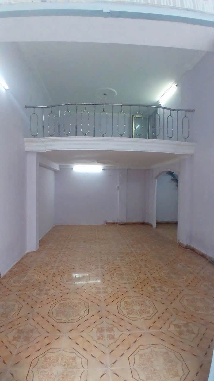 Nhà 3 tầng Gò Vấp 56m² giá 4.89 tỷ - Đón Tết sang trọng!