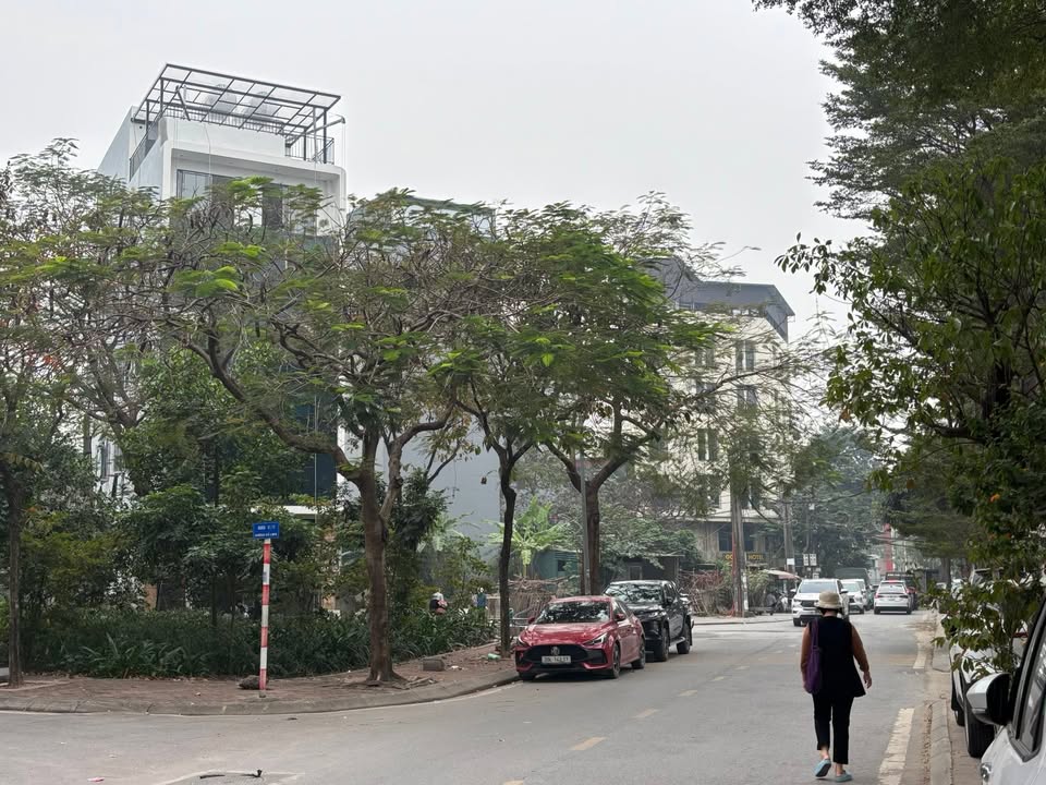 Toà Nhà 7 tầng Thạch Bàn, 100m² giá 50 tỷ - Mặt tiền đẹp, vị trí vàng!