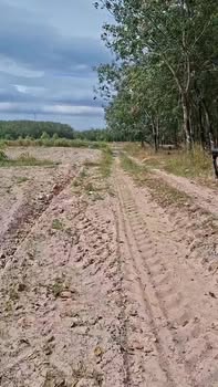 Đất Rẫy 34000m² tại Xã Tân Thành, Tây Ninh - Giá chỉ 3.91 tỷ VND!