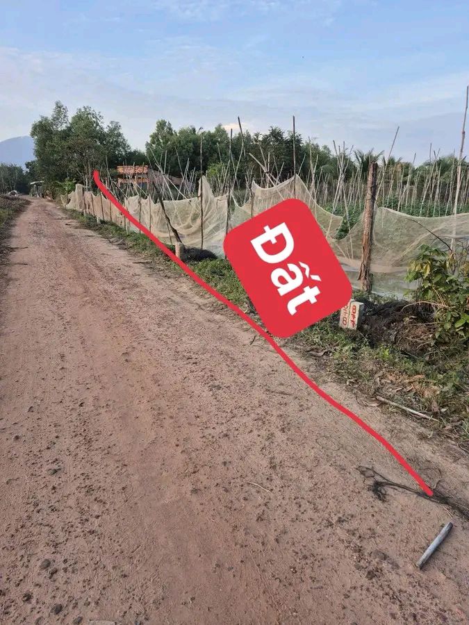 Đất nền Ninh Thạnh, Tây Ninh 175m² giá 352 triệu - Sổ đỏ chính chủ!