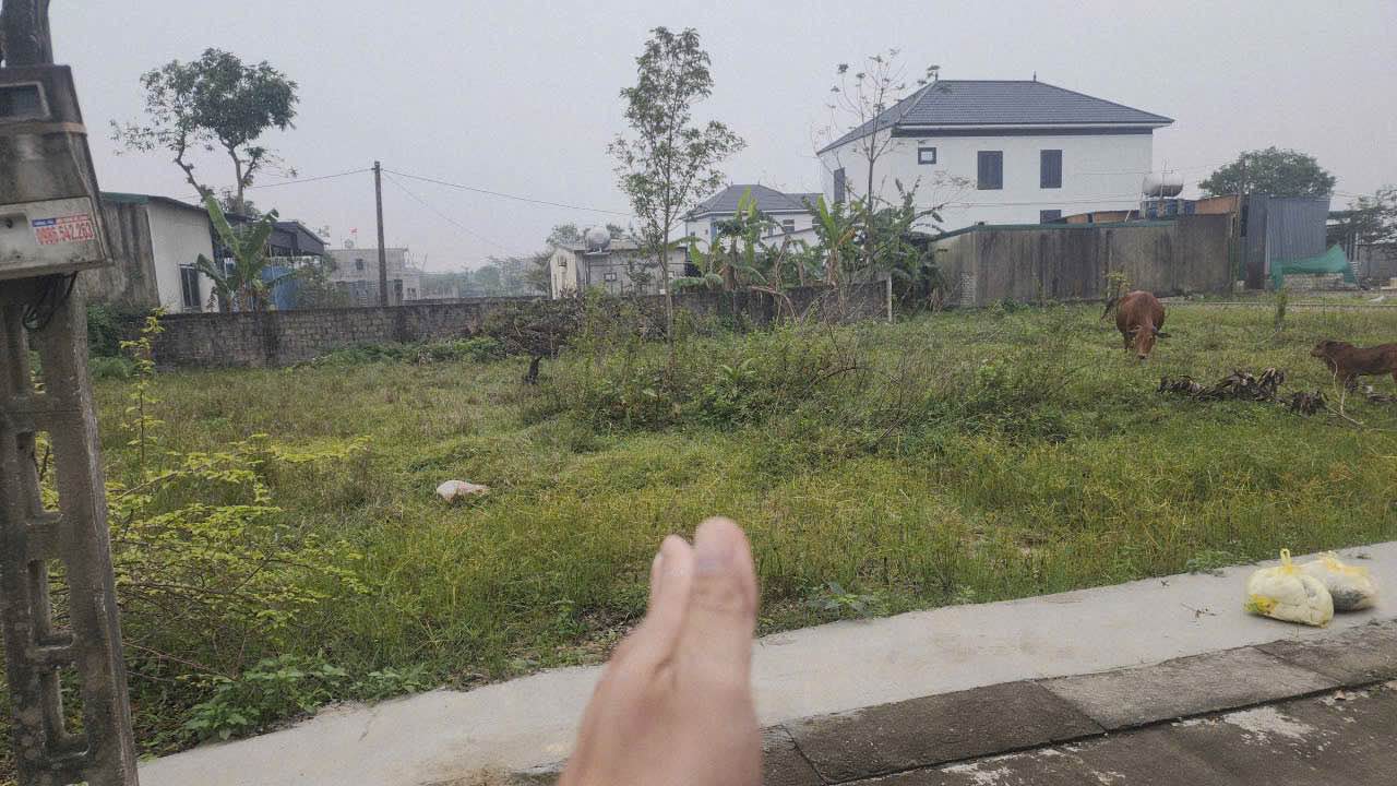 Đất Nghi Phong Nghi Lộc 120.6m² giá 2.3 tỷ - Vị trí đẹp đầu tư!