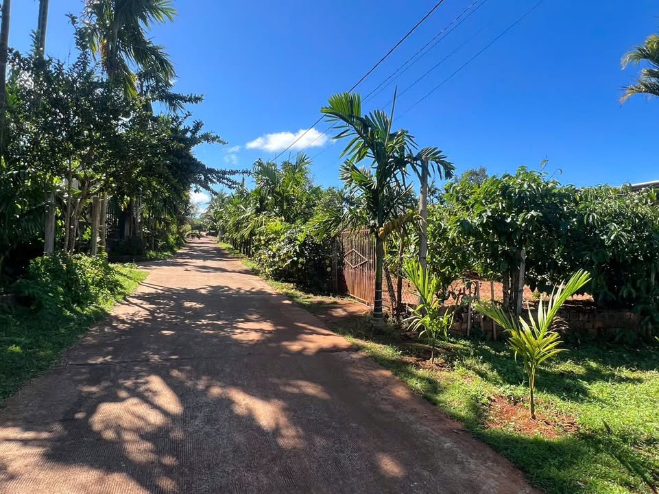 Đất hẻm 13 Đào Duy Từ, Pleiku 150m² giá 400 triệu - Đầu tư tiềm năng đẹp như mơ!