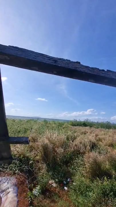 Đất nông nghiệp 11ha tại Hà Bông, Chư Sê giá 10 tỷ - Cơ hội đầu tư hấp dẫn!