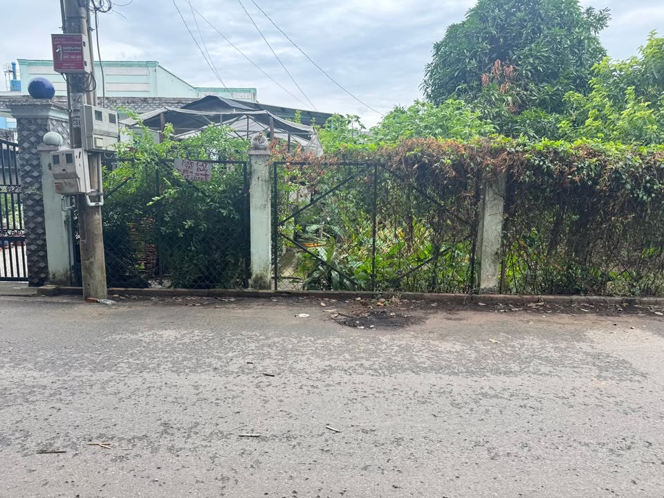 Đất nền Hòa Lợi Bến Cát 492m² giá 2 tỷ - Lô siêu dài hiếm có!