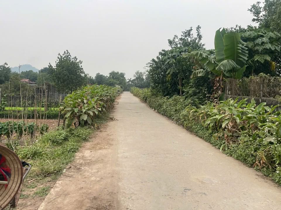 Đất nhà vườn Sài Sơn 348m² giá 1 tỷ - Đầu tư sinh lời ngay!