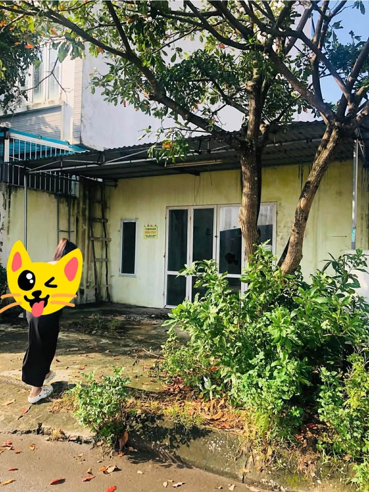 Đất ở mặt tiền đường Xuân Quỳnh, phường Nam Lý, 140m² - Cơ hội đầu tư hấp dẫn!