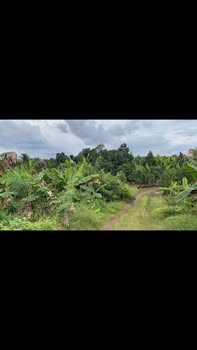 Đất vườn 1000m² tại Sông Thao, Trảng Bom - Giá chỉ 400 triệu!