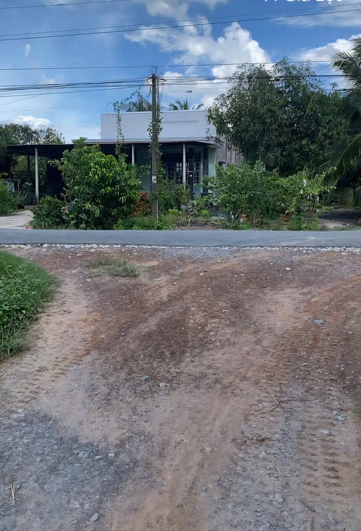 Đất nền 702m² tại Phường Gia Lộc, Gò Dầu - Giá 1.55 tỷ - Cơ hội đầu tư tuyệt vời!